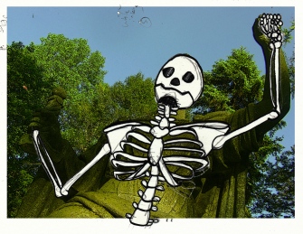 05 skeleton
